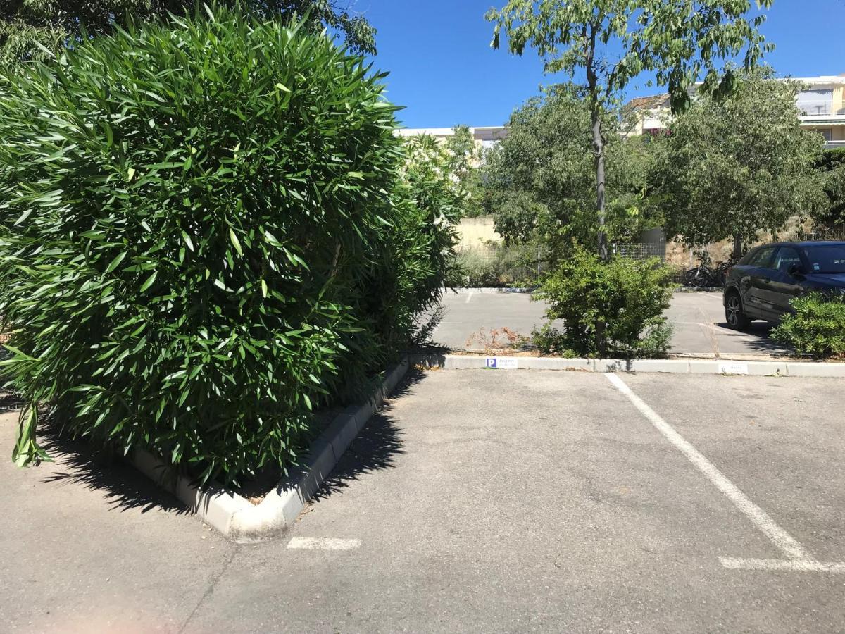 Les Terrasses Du Liouquet T2, Piscine , Parking , Mer A 150 M ラシオタ エクステリア 写真